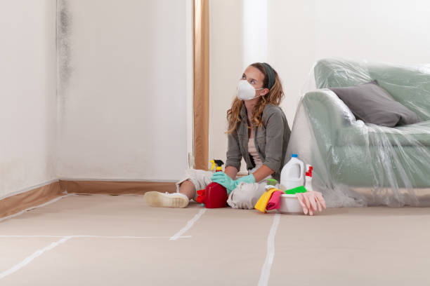 Reliable Mold Remediation contractor in Montville, NJ by Car Mold Remediation